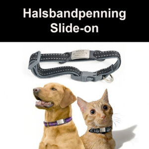 Penning voor kat en hond